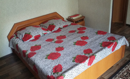 1.5-room apartment for daily rent