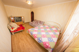 1-roomed apartment by the day