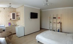 1-roomed apartment by the day in the center