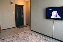 1-roomed apartment by the day