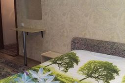 1-комнатная квартира посуточно в центре