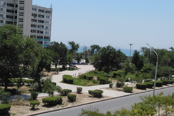 1 bedroom apartment for rent