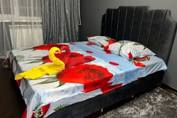 2-room apartment for daily rent in 7 mkr.