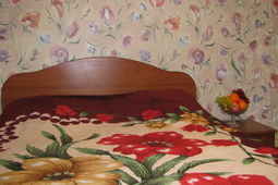 1 bedroom apartment, 106 Mayakovsky