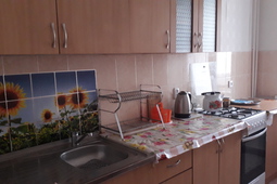 3-комнатная квартира посуточно в Боровом