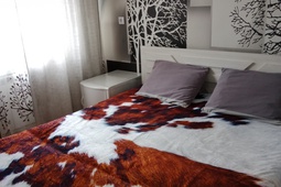 1 комнатная элитная квартира в центре посуточно