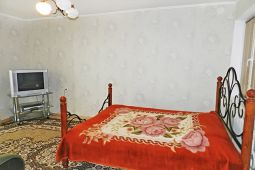 Однокомнатная квартира посуточно