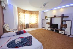 1-room apartment for a day