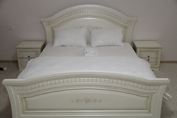 1.5-bedroom apartment daily