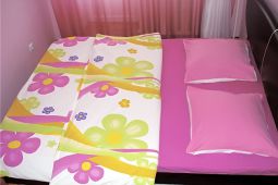 1-bedroom apartment daily