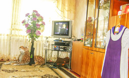 The room for daily rent