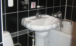 1-комнатная квартира посуточно