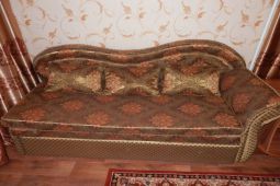 1-комнатная квартира посуточно