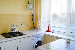 1-bedroom apartment daily