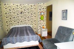 1-room apartment for daily rent in the center