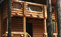 Guest houses from the log house "Masha and the Bear"