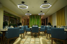 Lobby bar GREEN Which HOTEL